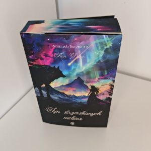 Syn strzaskanych niebios